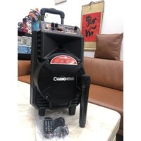 Loa Kéo Di Động CHANGHONG CYD-188 (Bass 12", 1 Micro)