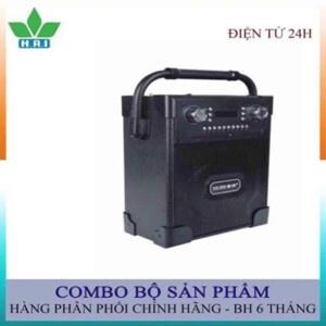 Loa kéo di động Daile S19