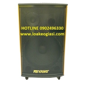 Loa kéo di động Feiyang A198