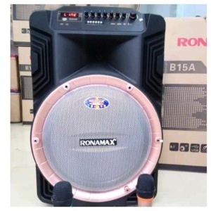 Loa kéo di động karaoke Ronamax B15A