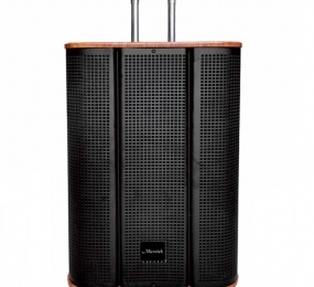 Loa kéo di động Microtek MTK12-02