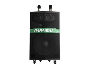 Loa kéo di dộng Paramax Go 300S