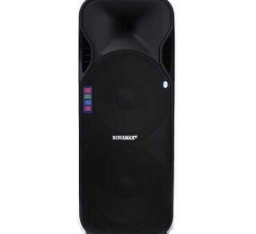 Loa kéo di động Ronamax D15 - 4 tấc đôi