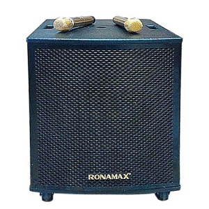Loa kéo di động Ronamax M15 4.5 Tấc
