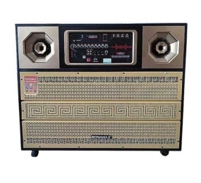 Loa kéo di động Ronamax MDX15