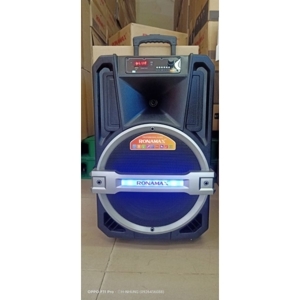 Loa kéo di động Ronamax T15