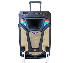 Loa Kéo Di Động Ronamax U15A