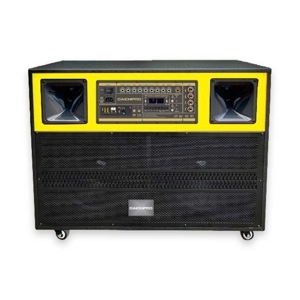 Loa kéo di động RUBY 15A-X2