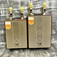 Loa Kéo Di Dộng SUNY BOX GJ-810 (Bass 30cm, 2 Micro)