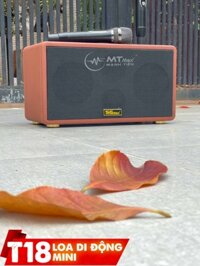 Loa kéo di động T18 mini loa 2 Bass thùng gỗ kèm 2 micro vỏ nhôm UHF siêu hút không dây hát karaoke siêu hay thùng gỗ [BH 6 tháng]