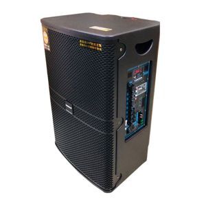 Loa kéo di động Temeisheng GD15-21