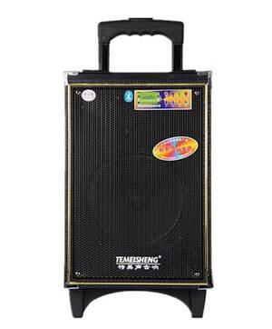 Loa kéo di động Temeisheng A8-5