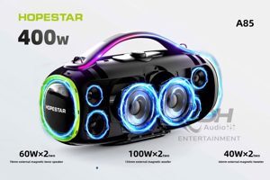 Loa kéo di động Temeisheng A8-5
