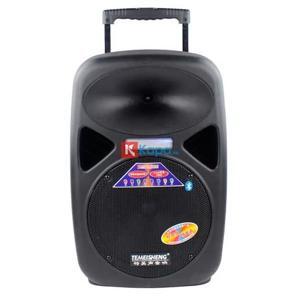 Loa kéo di động Temeisheng A8-5