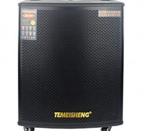 Loa kéo di động Temeisheng GD18-03 6 tấc