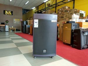 Loa kéo di động Temeisheng GD15-08 (GD-15-08)