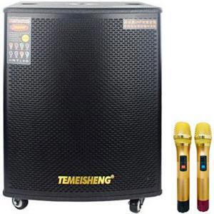 Loa kéo di động Temeisheng GD18-03 6 tấc