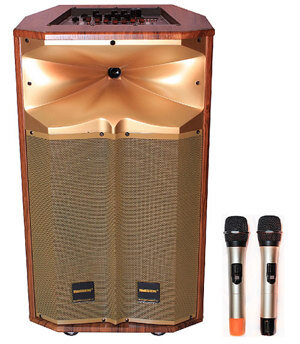 Loa kéo di động Temeisheng QX-1518 (QX 15-18)