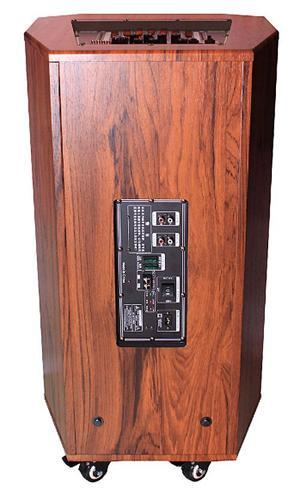 Loa kéo di động Temeisheng QX-1518 (QX 15-18)