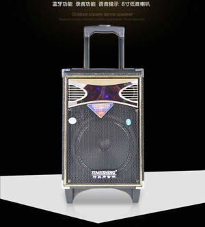 Loa Kéo Di Động Temeisheng SL-06