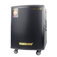 Loa Kéo Di Động Temeisheng GD12-03