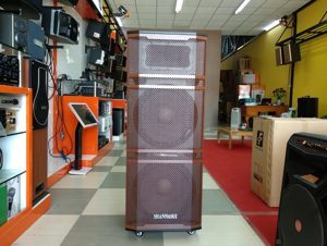 Loa kéo di động Temeisheng GD-215-12 (GD215-12)