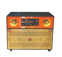 Loa kéo di động Thunder T-555 - Hàng chính hãng