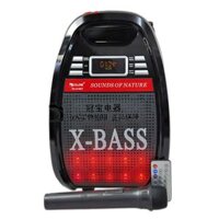Loa kéo di động X-BASS