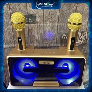 Loa bluetooth Karaoke SD-301