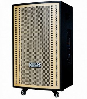 Loa kéo karaoke Acnos CB-3051G