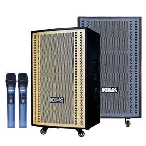 Loa kéo karaoke Acnos CB-3051G
