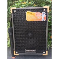 Loa kéo karaoke mini hát cực hay giá rẻ, micro không dây âm thanh cưc hay