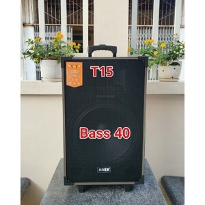 Loa kẹo kéo BNIB T15