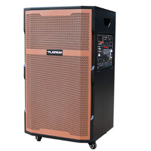 Loa kéo Platinum PT-16AK