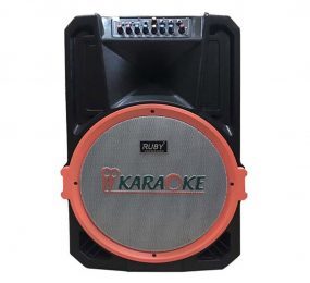Loa kéo Ruby R-1501B - 600w