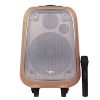 Loa kéo SoundMax M6