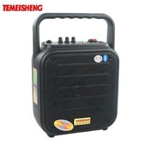 Loa Kéo Temeisheng A6-4 Nhỏ Gọn Âm Thanh Tốt