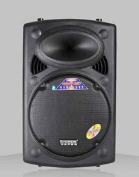 Loa Kéo Temeisheng DP-2305L