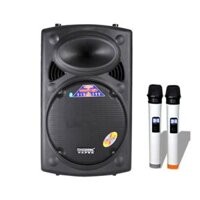 Loa kéo Temeisheng DP-2305L chính hãng tặng kèm mic không dây - 003513