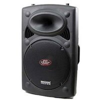 Loa Kéo Temeisheng DP-2305T