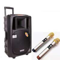 Loa kéo Temeisheng DP-2398T chính hãng tặng kèm micro không dây - 003849