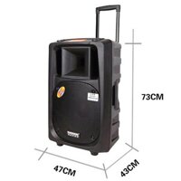 Loa kéo Temeisheng DP-2398T bass 50cm kèm 2 mic cực xịn