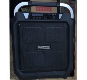 Loa kéo Temeisheng SL10-10