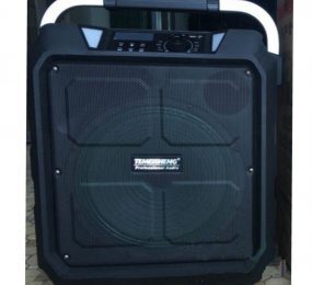 Loa kéo Temeisheng SL12-10