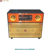 Loa kéo Thunder T-555 (Bass Đôi 40cm 1200w kèm 2 micro)