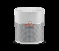Loa Không Dây Bose Home Speaker 300