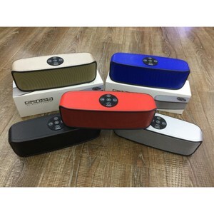 Loa không dây S2029