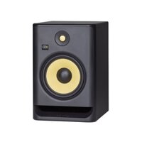 LOA KIỂM ÂM KRK ROKIT 8G4