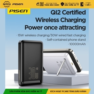 Loa vi tính Pisen D101 - 2.0