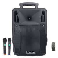 Loa MICROTEK MTK-06(No.773031)